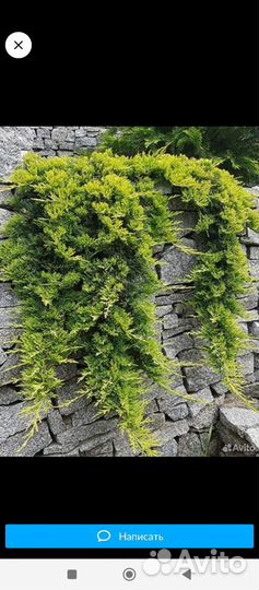 Уход за садом