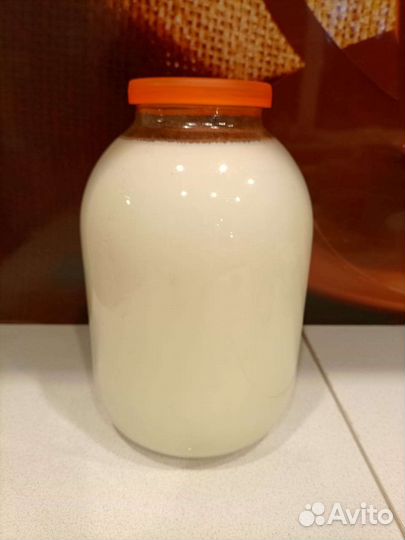 Молоко, творог, сметана, от племенной коровы