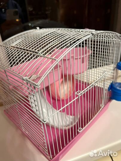 Клетка для джунгарского хомяка
