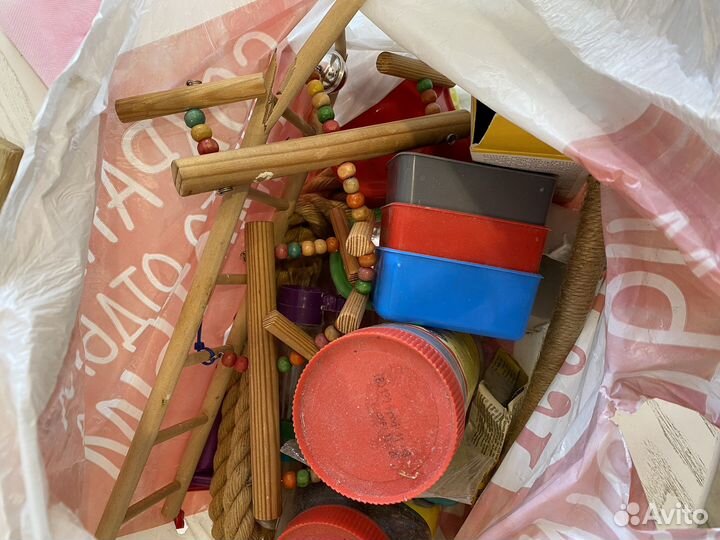 Для птиц все в клетку