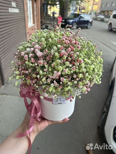 Композиция из крашеной гипсофилы