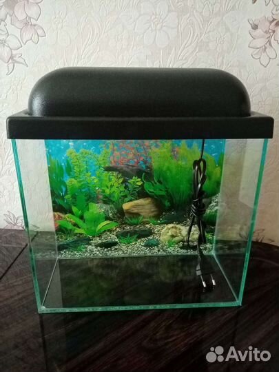Аквариум