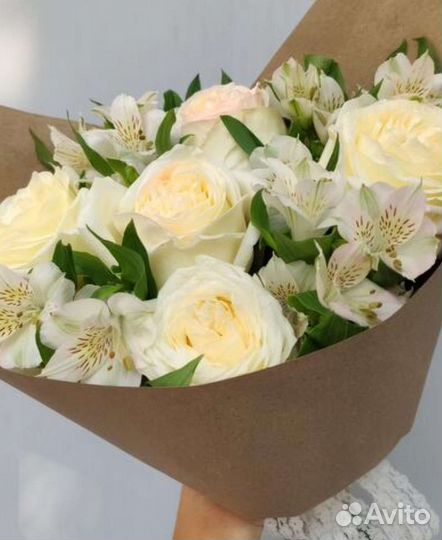 Роза белая пионовидная