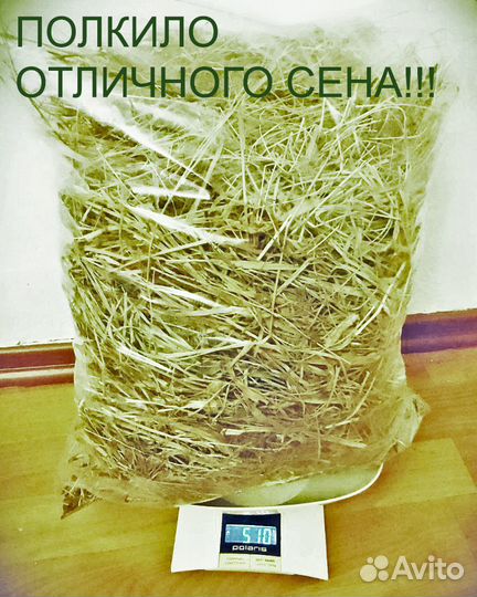 Сено луговое для свинок, кроликов, шиншилл