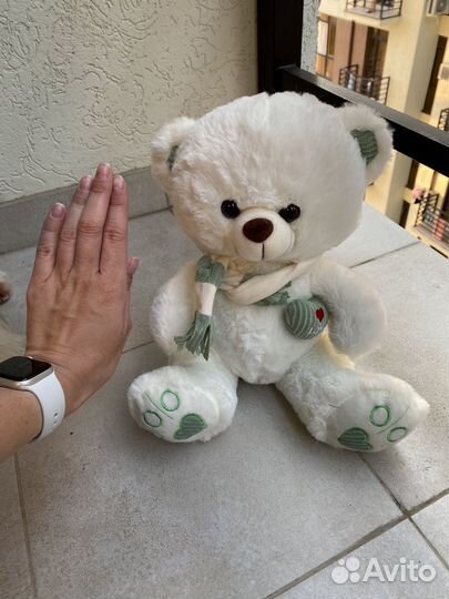 Мишка Тедди