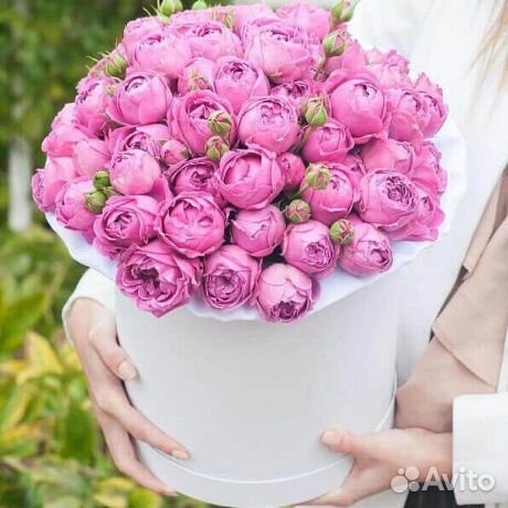 Букет 51 шт пионовидная роза. Цветы. Доставка