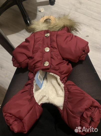 Одежда для собак