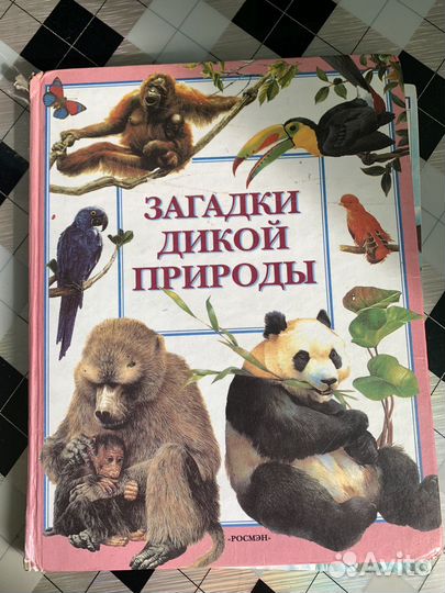 Книга загадки дикой природы