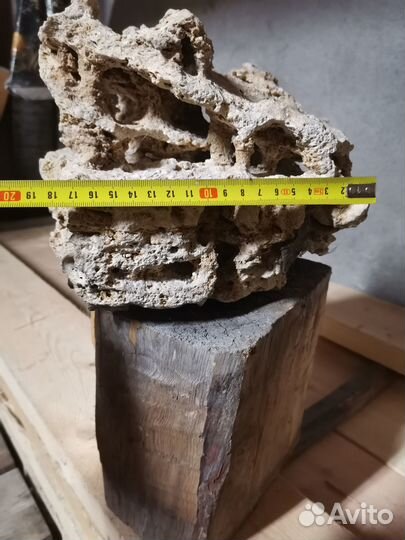 Продам известняковый камень
