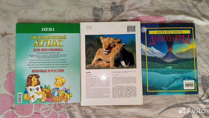 Обучающие книги