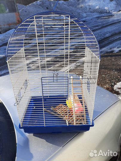 Клетка для птиц или каких то мелких животных