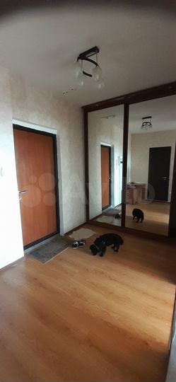 1-к. квартира, 43 м², 13/17 эт.