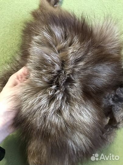 Шкура животногр (вероятнее всего песец)