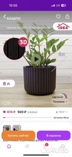 Спатифиллум женское счастье цветы