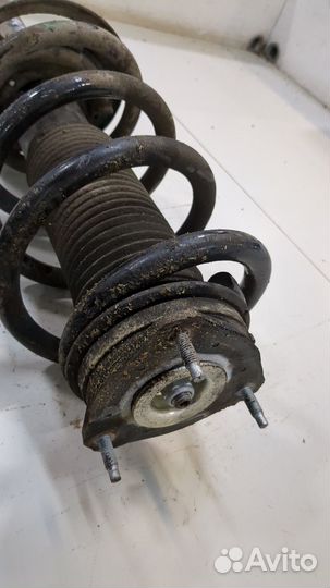 Амортизатор подвески Ford Transit 2014, 2017