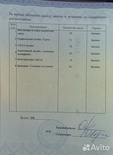 Веб дизайнер