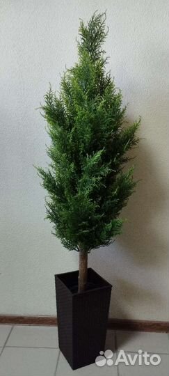 Туя, кипарис 150 см искусственные