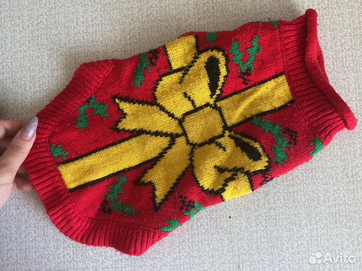 Вещи для маленьких собак