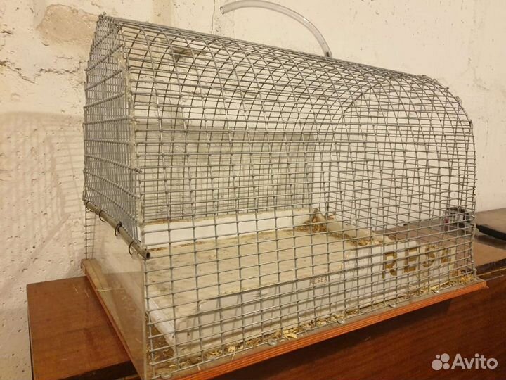 Клетка для животных