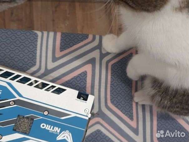 RX 590 Sapphire SE nitro + 8 gb