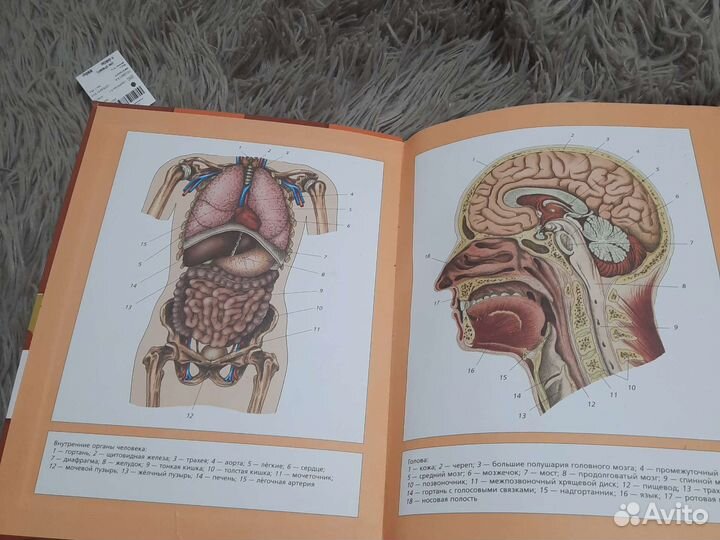 Учебник 8 класс по биологии программа фгос
