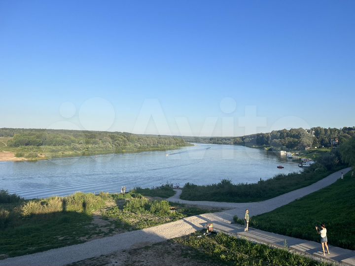 Участок 4,8 га (ИЖС)