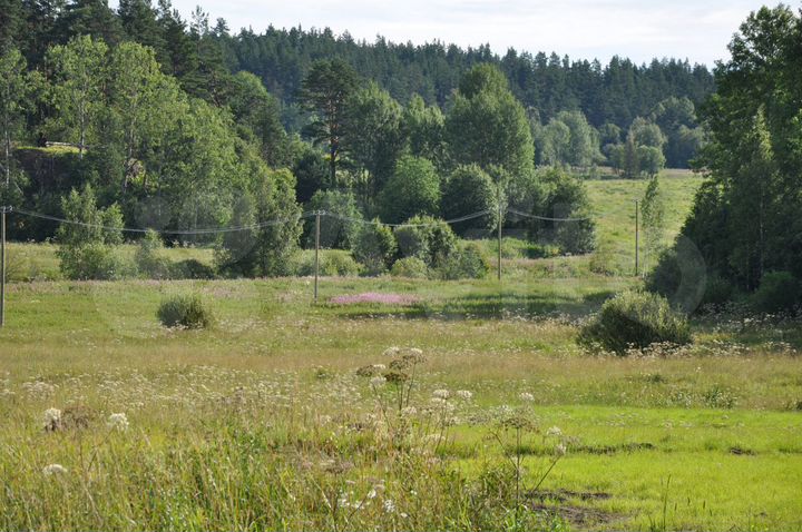 Участок 3,55 га (СНТ, ДНП)