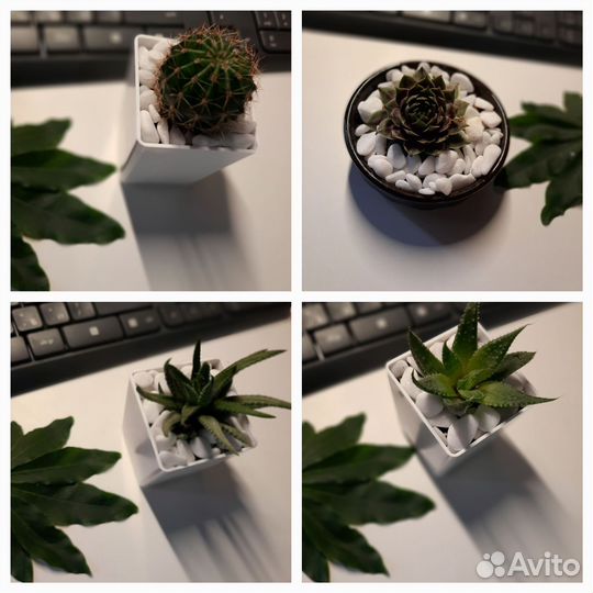 Декор для интерьера