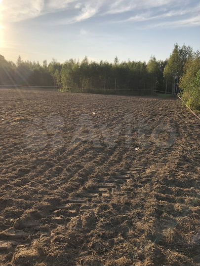 Участок 28 сот. (СНТ, ДНП)