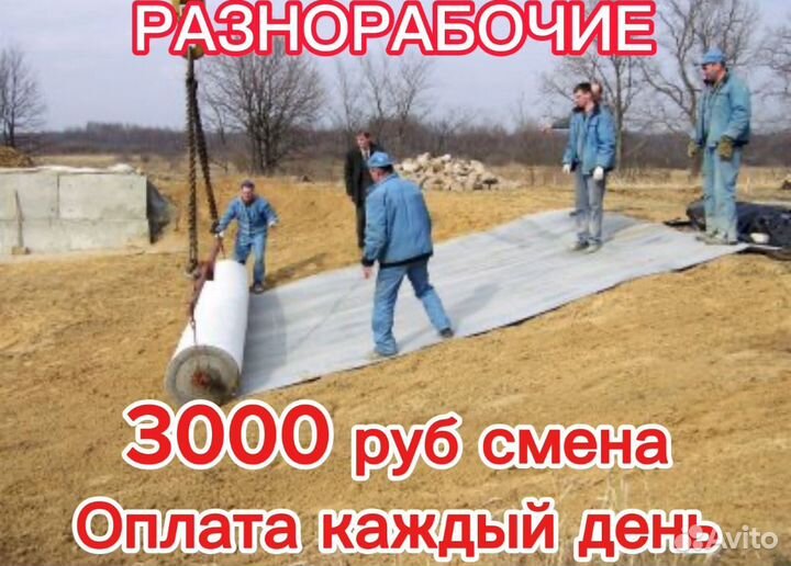 Рабочие с ежедневной оплатой
