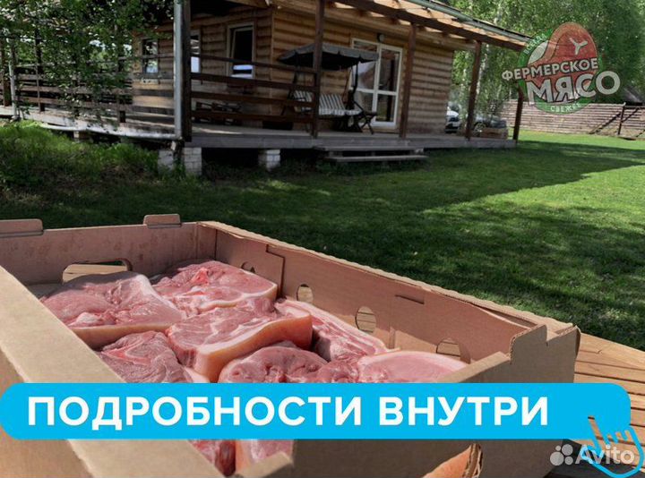 Мясо свинина