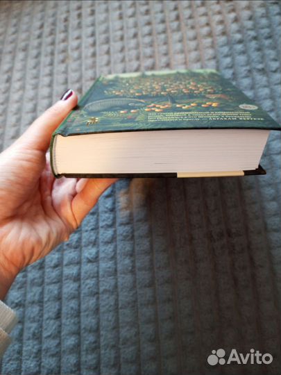 Северный лес