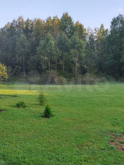 Участок 3,76 га (СНТ, ДНП)