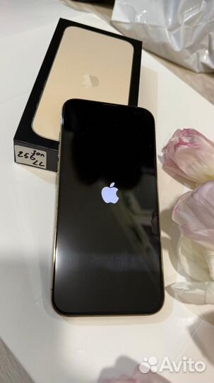 iPhone 13 Pro Max, 256 ГБ