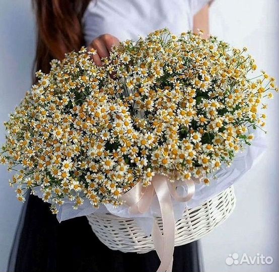 Букеты ромашек