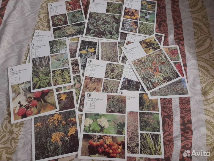 Советские открытки