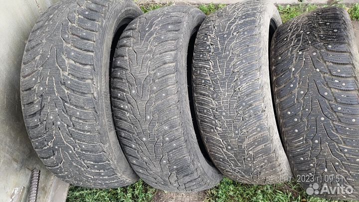 Nexen Winguard 205/50 R17