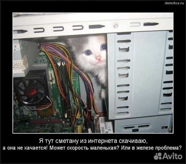 Компьютерный мастер Ремонт компьютеров и ноутбуков