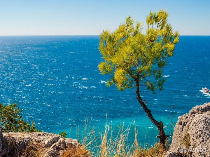 Voyage в Alanya 7 дн