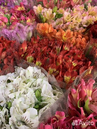 Цветы букет альстромерий, букеты, альстромерия