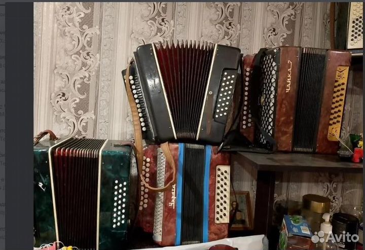 Гармошки и баяны