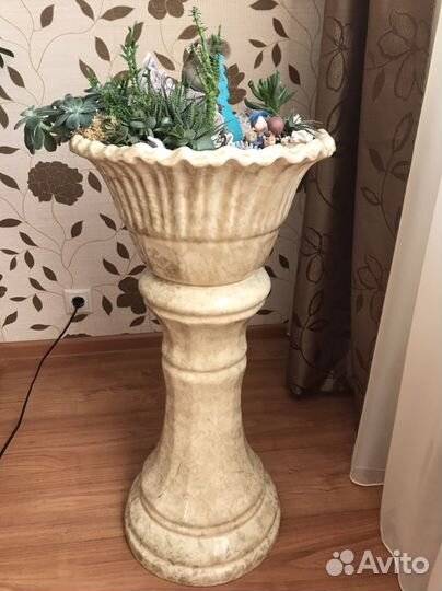 Флорариум с суккулентами