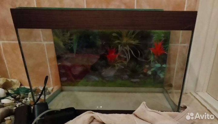 Аквариум