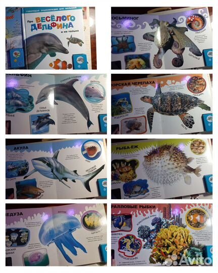 Детские говорящие книги и развивающий пазл