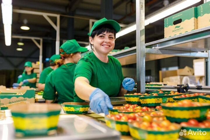 Фасовщик Краснодарский край вахта от 15 смен