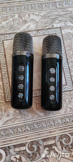 Беспроводная караоке система блютуз колонка