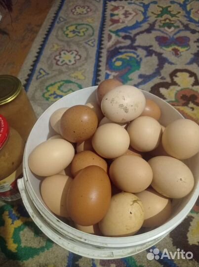 Домашние куриные яйца