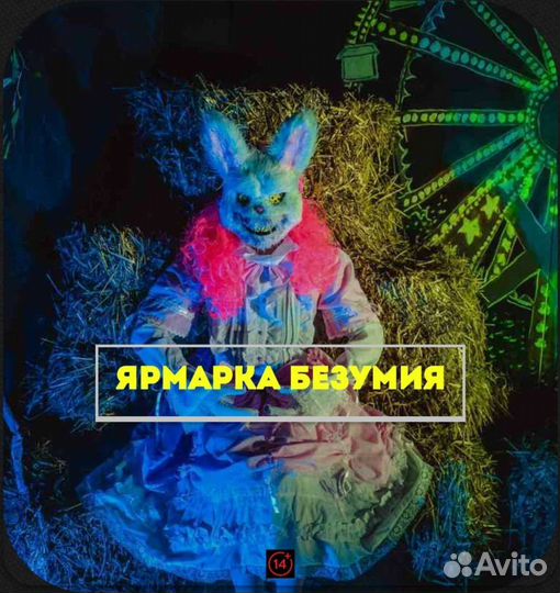 Подарочные сертификаты на квесты