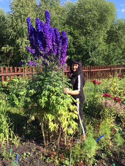 Дом 40 м² на участке 15 сот.