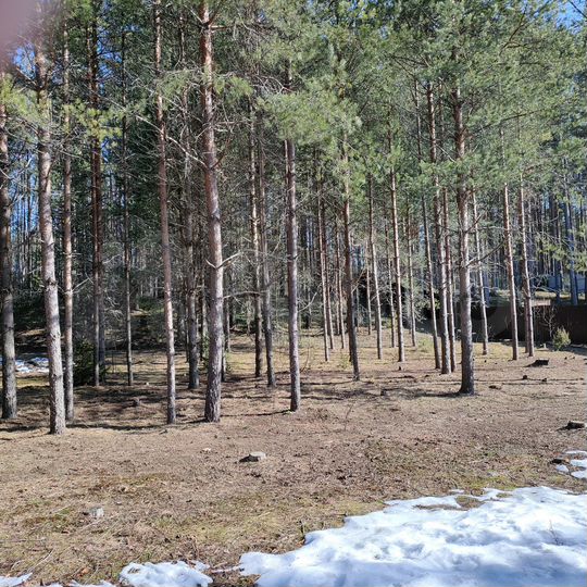 Участок 16 сот. (ИЖС)